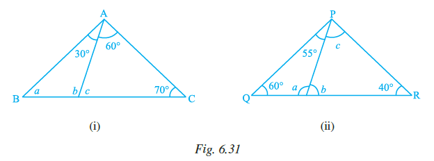 Page 172 Chapter 6 Class 7th NCERT Exemplar Page 172 Chapter 6 Class 7th NCERT Exemplar